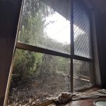 Windows before a clean and they look really bad, lots marks and can see where the slugs have crawled